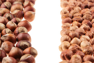 Hazelnut and kernel border on white background. Pile of selected hazel close-up. Isolated.