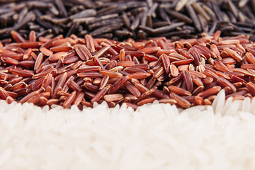 Strips of red, black and white rice close-up. Rice texture background. Macro.