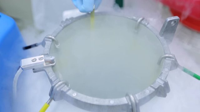 freeze bacteria in liquid nitrogen