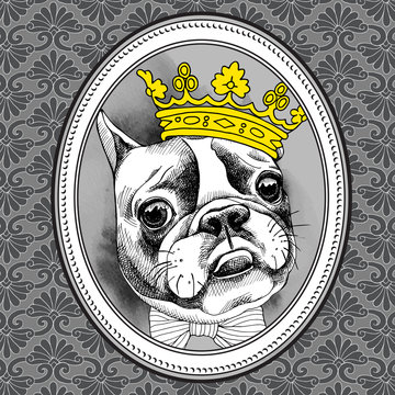 Frame with image of French Bulldog in crown and tie. Vector illustration.