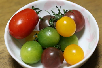 色とりどりのミニトマト