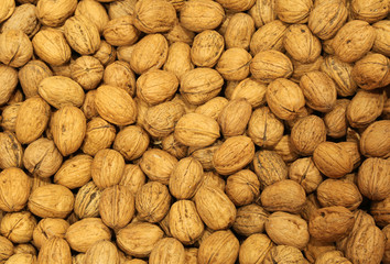 freshly picked ripe genuine walnuts