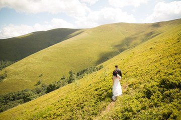 Obraz premium Young newly wed couple, bride and groom kissing, hugging on perfect view of mountains, blue sky