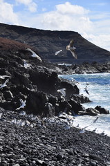 El Golfo, Lanzarote, îles Canaries, Espagne
 