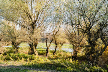 Lake in autumn day