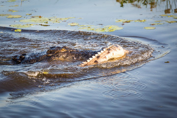 Kakadu National Park, Australia