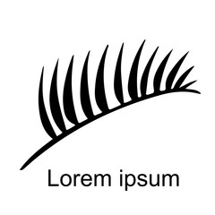 Palm leaf closeup icon isolated on white background