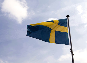 Swedish flag