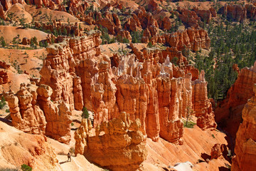 Bryce canyon