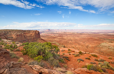 Fototapeta premium Canyonlands