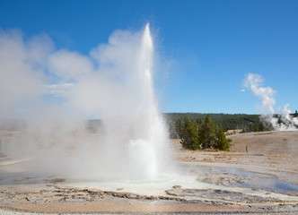Geyser