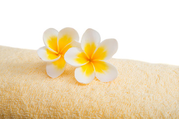 Fototapeta na wymiar frangipani flower on a towel