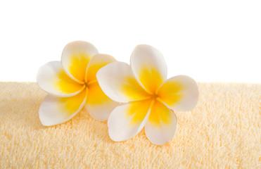 Obraz na płótnie Canvas frangipani flower on a towel