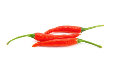 Red chilies on white background
