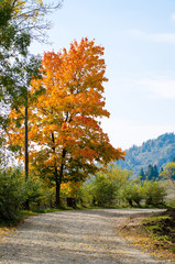 Naklejka premium Stories of the Fall