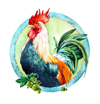 watercolor illustration with rooster
