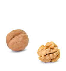 pieces of walnut on the white background