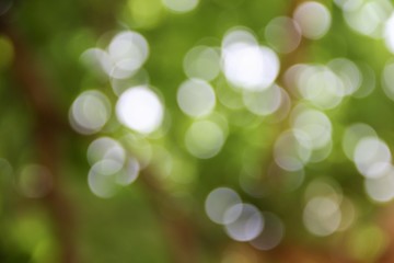 Bokeh natural color background, colorful  leaf of the tree