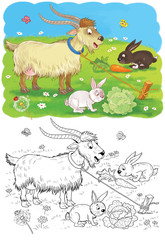 Cute farm animals. A cute goat  and rabbits. Coloring book. Coloring page. Funny cartoon characters