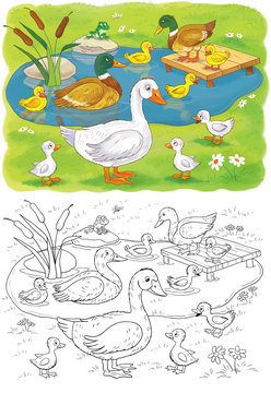 Cute farm animals. Cute goose, duck with ducklings. Coloring book. Coloring page. Funny cartoon characters