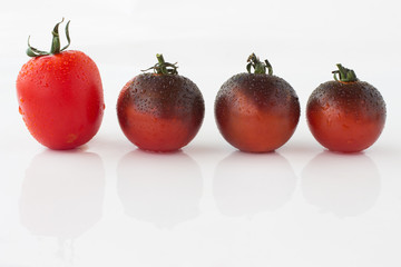 Four different colored tomatoes with water drops lined in a row