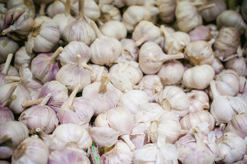 Garlic on display. a lot of fresh raw garlic a bunch of lies on the shelves