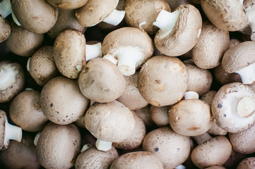 champignon mushrooms on display. a lot of fresh raw mushroom heap lies on the shelves