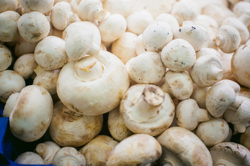 champignon mushrooms on display. a lot of fresh raw mushroom heap lies on the shelves