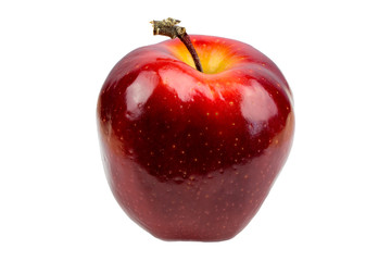 A fresh, red, shining apple