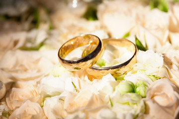 Wedding rings on flower of rose