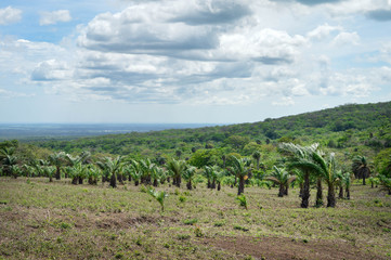 Fototapeta na wymiar Beautiful volcanic landscapes of San Jacinto near Leon, Nicaragua. Central America