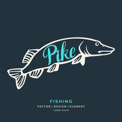 Modern hand drawn lettering phrase.