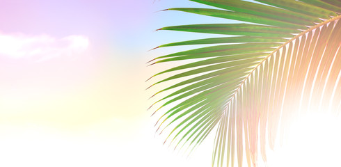 Fototapeta na wymiar Palm tree leaves over peaceful tropical beach background, blue sea landscape card