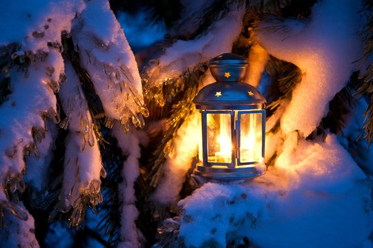 Christmas scene - an oil filled lantern burning bright with snow covered tree