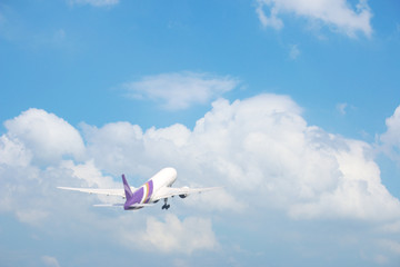 Fototapeta na wymiar commercial plane on blue sky with cloud