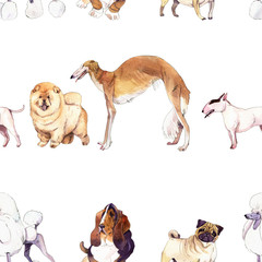 Watercolor illustration set of dogs