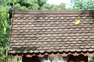 Dry leaf on wooden roof.