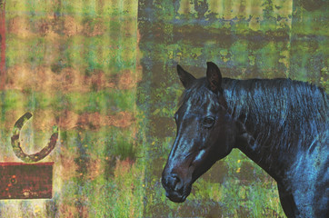 Vintage grunge horse and horseshoe on corrugated iron background. Composite textured photo.
