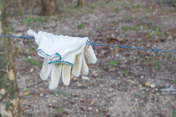 pair of work gloves hanging on wired fence, copyspace
