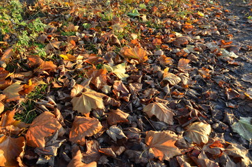 Herbst 2016