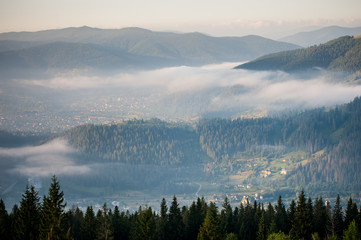 Amazing panorama of foggy mountain range. Morning with fog over mountain slopes, covered with spruce forest.