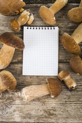 Boletus edulis and notebook on a wooden table.