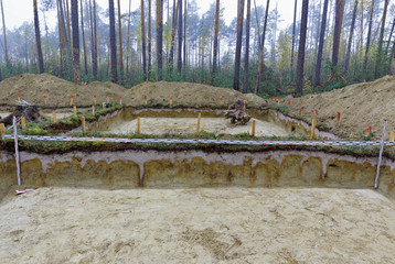 The walls of the archaeological excavation in the forest