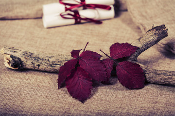 Autumn background with leaves and cinnamon