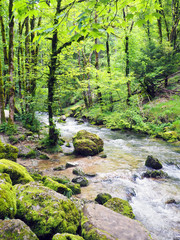 Fototapeta premium Waterfalls of Herisson in Jura France