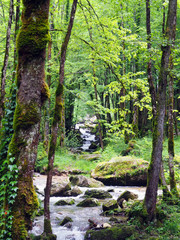 Waterfalls of Herisson in Jura France