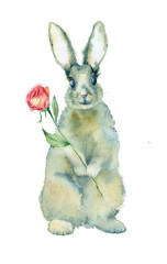 Naklejka premium Watercolor painting. Gray rabbit with flower on a white background in vintage style.
