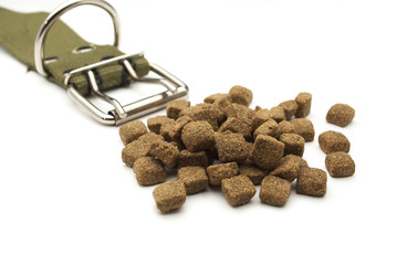 ошейник, © kivladimir