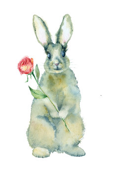 Watercolor painting. Gray rabbit with flower on a white background in vintage style.