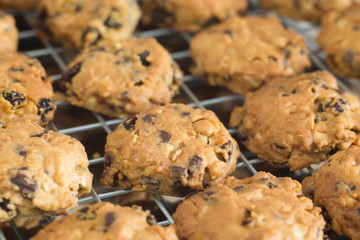 Chocolate chip cookies on a tray rack,Fresh baked cookies,Cookies close up shot.